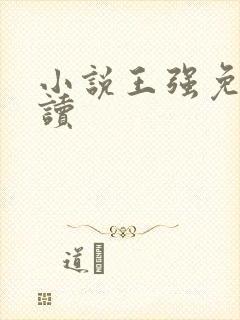 小说王强免费阅读