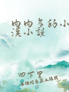 肉肉多的小说糙汉小说