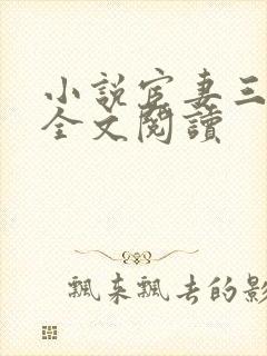 小说宦妻三部曲全文阅读