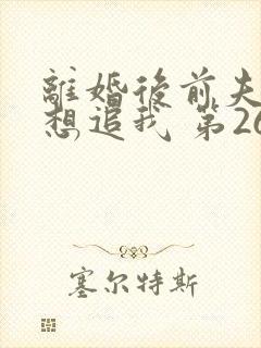 离婚后前夫总是想追我 第260章