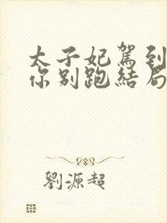 太子妃驾到总裁你别跑结局