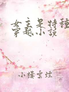 女主是特种兵的穿越小说