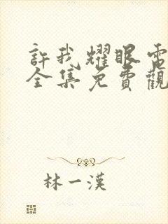 许我耀眼电视剧全集免费观看27集