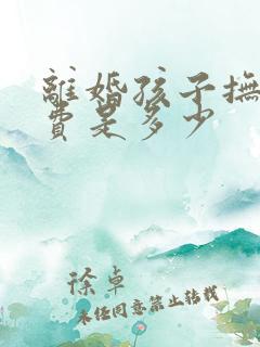 离婚孩子抚养权费是多少