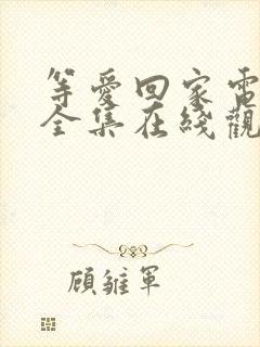 等爱回家电视剧全集在线观看免费