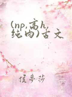 (np,高h,纯肉)古文
