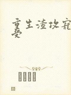 重生渣攻宠痴情受