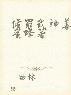 修罗武神善良的蜜蜂著