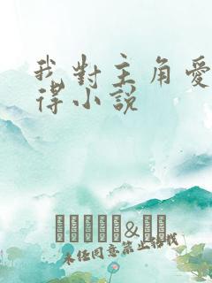 我对主角爱而不得小说