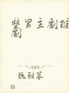 双男主剧推荐韩剧