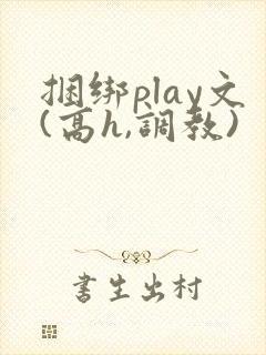 捆绑play文(高h,调教)