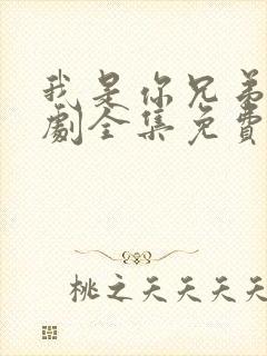 我是你兄弟电视剧全集免费观看高清