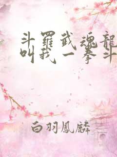 斗罗武魂龙拳请叫我一拳斗罗免费