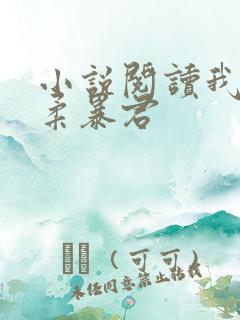 小说阅读我的温柔暴君