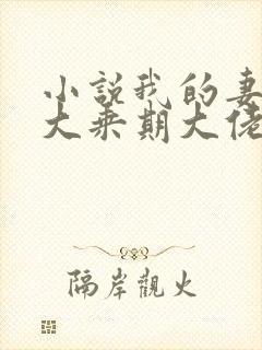 小说我的妻子是大乘期大佬阅读