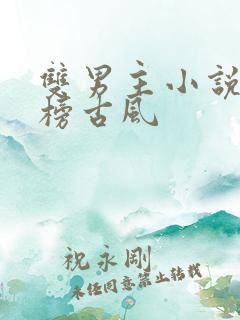 双男主小说排行榜古风