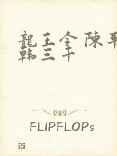 龙王令 陈平 韩三千