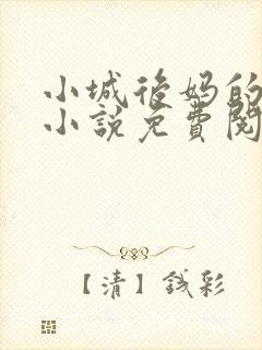 小城后妈的春天小说免费阅读