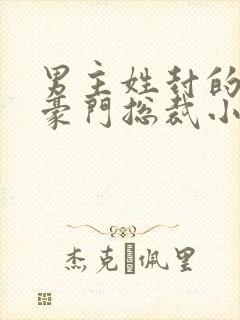 男主姓封的所有豪门总裁小说