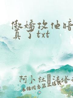 傲娇攻他暗恋成真了txt