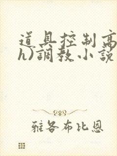 道具控制高潮(h)调教小说