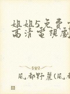 姐姐5免费完整高清电视剧在线看