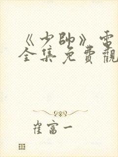 《少帅》电视剧全集免费观看高清