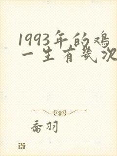 1993年的鸡一生有几次婚姻