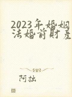 2023年婚姻法婚前财产