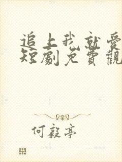 追上我就爱上你短剧免费观看