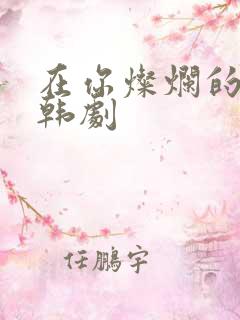 在你灿烂的季节韩剧