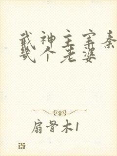 武神主宰秦尘有几个老婆