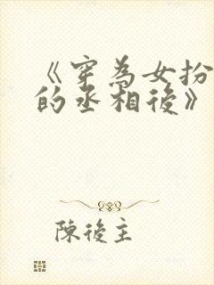 《穿为女扮男装的丞相后》