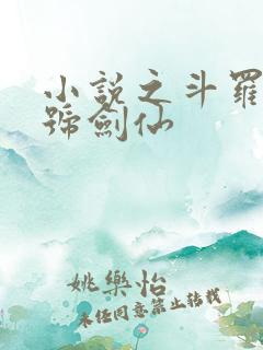 小说之斗罗之封号剑仙