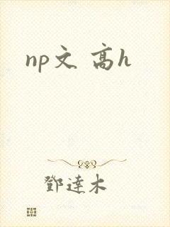 np文 高h