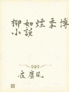 柳如烟季博达的小说