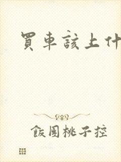 买车该上什么网