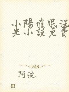 小阳催眠洗脑曹光小说免费阅读