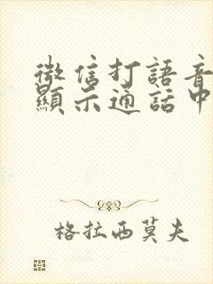 微信打语音电话显示通话中断