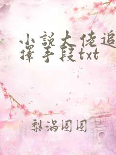 小说大佬追妻不择手段txt