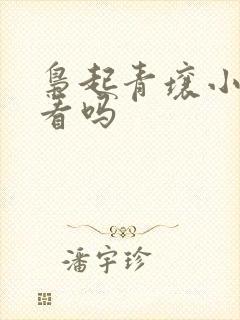 枭起青壤小说好看吗