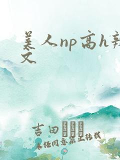 美人np高h辣文