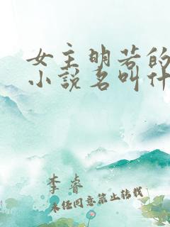 女主明若的穿越小说名叫什么