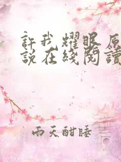 许我耀眼原著小说在线阅读