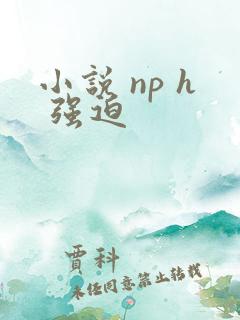 小说 np h 强迫