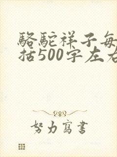 骆驼祥子每章概括500字左右