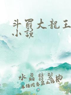 斗罗大龙王传说小说
