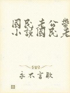 国民老公带回家小说国民老公带回家