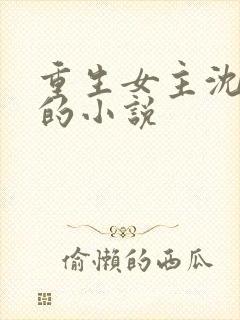 重生女主沈婉宁的小说