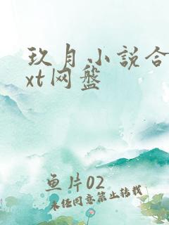 玖月小说合集txt网盘